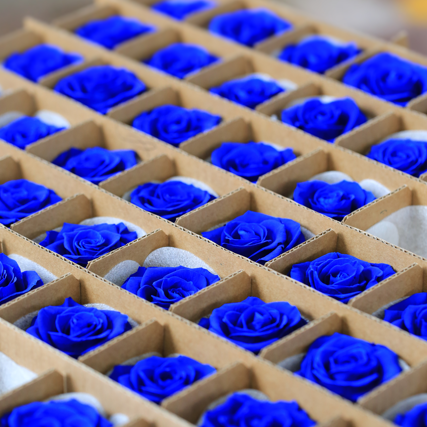 Preserved Roses