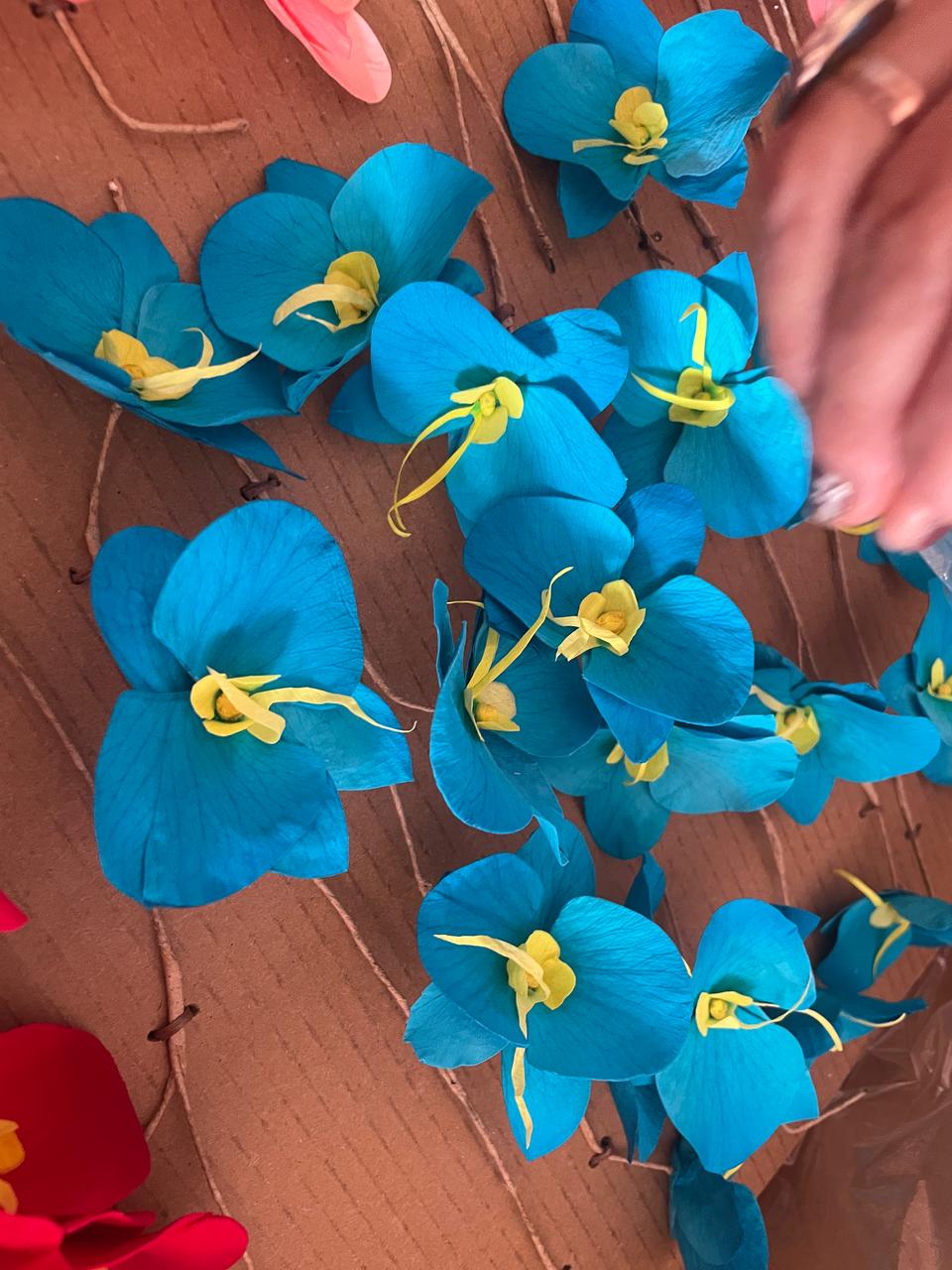 Orchids Handmade