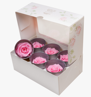 Royal Blue Roses
